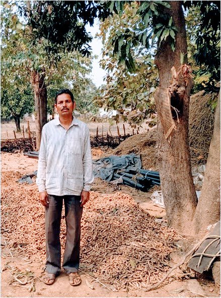 Organic plant harvest